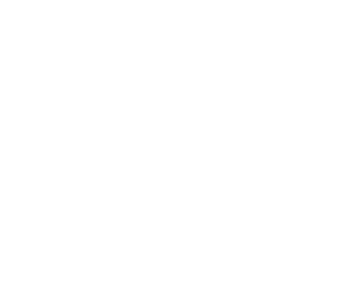 Appsolute Games - AppRoarr Game Development