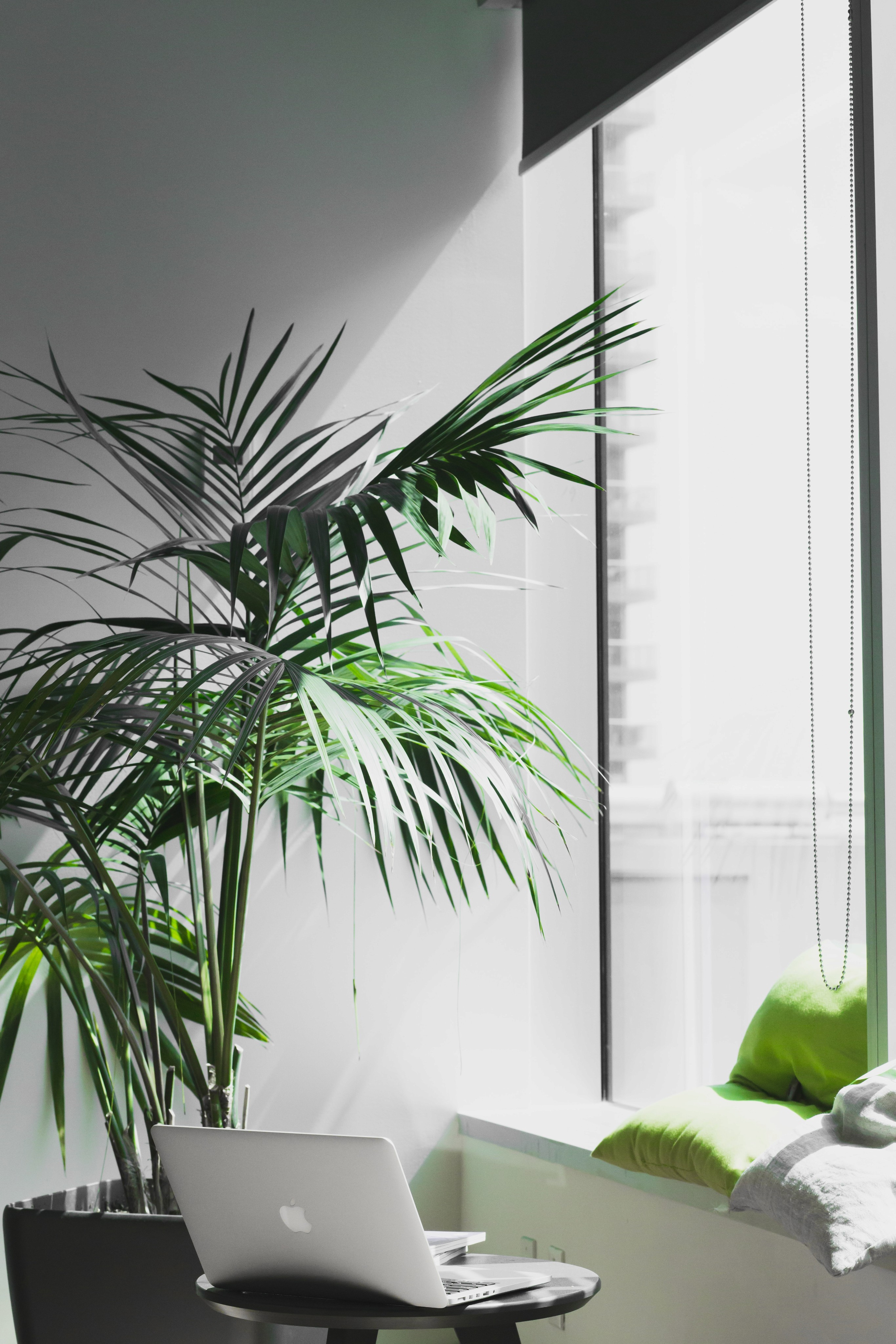 brightly lit office space with green plants