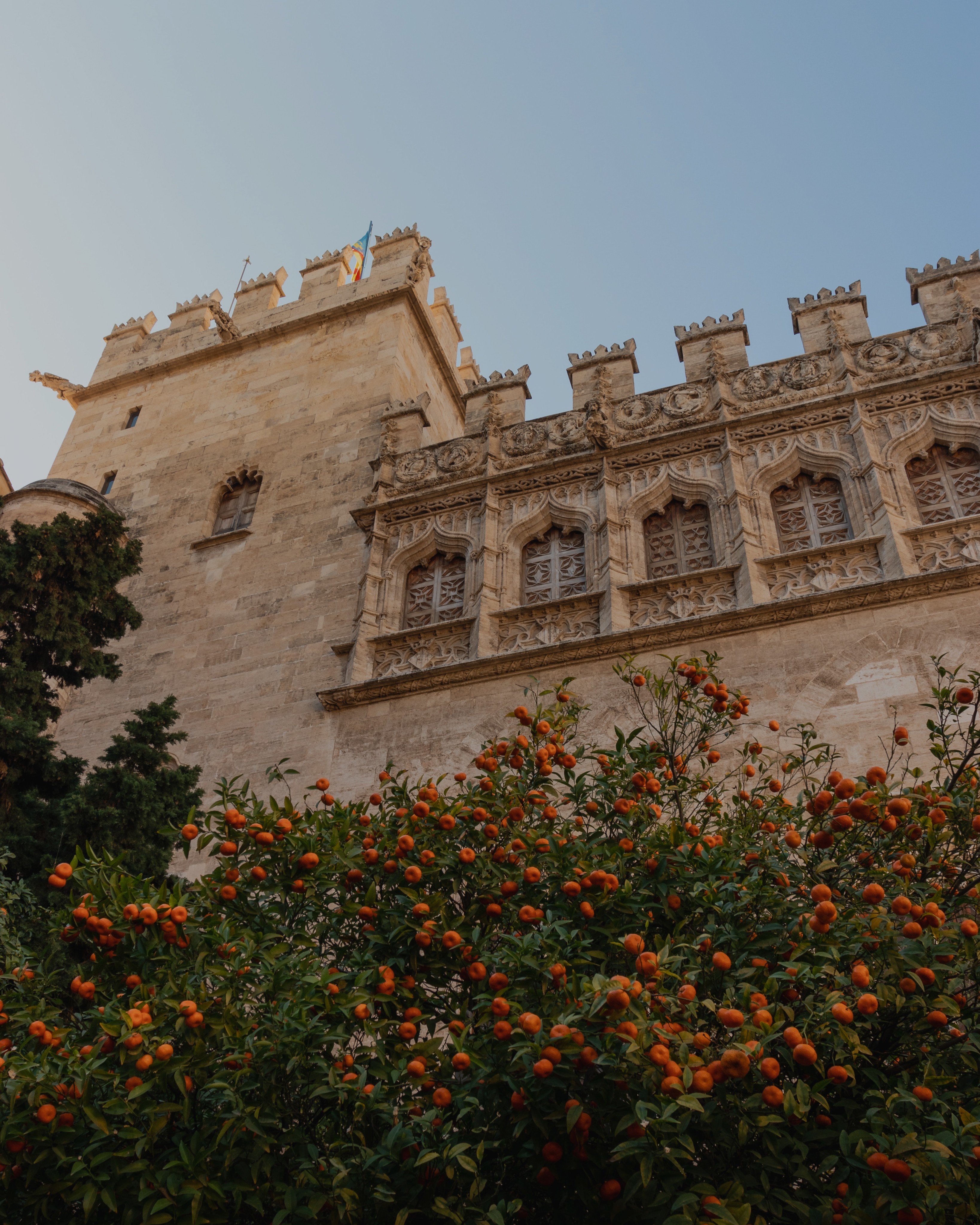 view looking up at historic building in valencia with orange trees covering the base