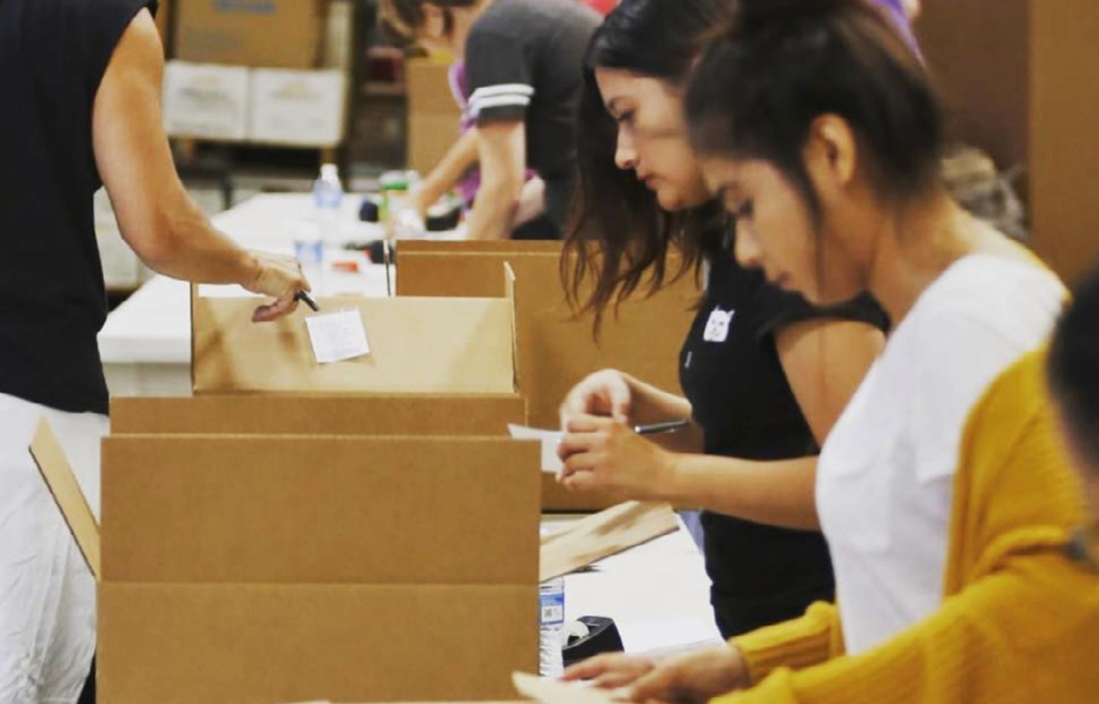 Volunteers pack meals