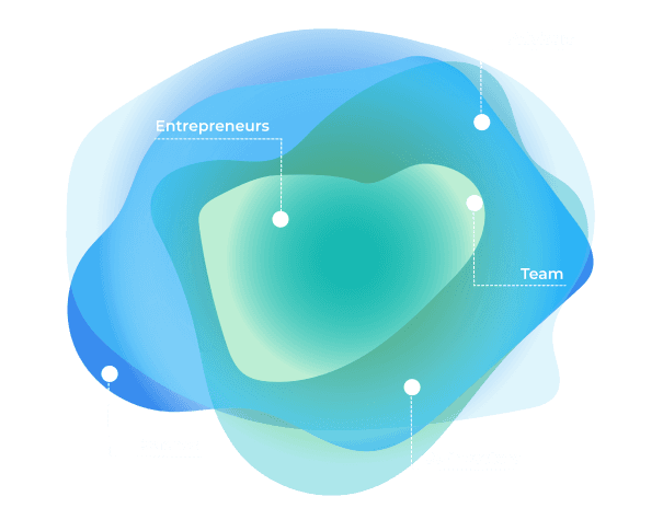 Scoby ecosystem